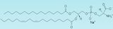 Phosphatidylserine