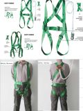 Polyester Safety Harness (Whole body)