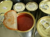Sardine in Tomato Sauce (7113)