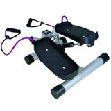 2014 Swing Stepper Classic Models Gym Equipment