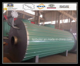 Gas Fired Thermal Oil Boiler