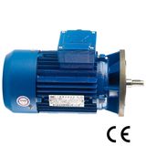 IEC Electric Motor (0.12KW -200KW B5)