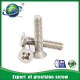 High Quality Stainless Steel Screws Ss Fasteners