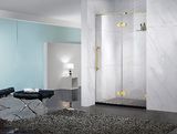 Tempered Glass Shower Door