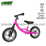 Hot Style Children Mini Bicycle/Bike/Mini Bike/ Kids Bike (AKB-1208-A)