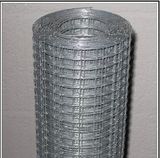 Welded Wire Mesh