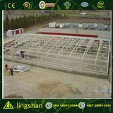 Steel Frame Structure