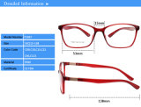 (T1027) Best Sold Fashion Top Tr90 Optical Frames Eyewear