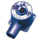 RB-TT Fixed Gas Detector