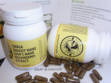 Mushrooms Extract Capsule (Chaga extract; Lion's Mane extract; Shaggy Mane extract)