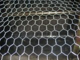 Hexagonal Wire Mesh/Stucco Netting/Hexagonal Wire Netting (20 years) (JCH001)