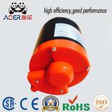 IP55 AC Single Phase High Torque Electric Motors