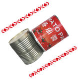 3000g Pure Tomato Paste in Can