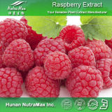 100% Natural Raspberry Extract (Raspberry Ketone 4% 98%, 4: 1~20: 1)