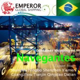 Sea Freight Shipping From China to Navegantes, Brazil Brasil