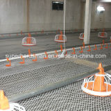 Full Set Automatic Poultry House Broiler Feeding Equipment