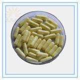 Bitter Melon Capsule with GMP Standard (LJ-HP-97)