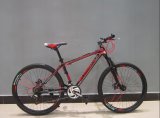 2014 New Mountain Bicycle 21 Speed (AFT-MB-066)
