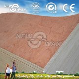 High Quality with Competitive Price Commercial Plywood