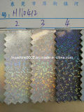 Fashion Glitter PU Leather for Shoes, Bags, Decorative (HSG003)