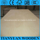 Birch Faced Poplar Plywood/Birch Plywood for Furniture/Commercial Plywood
