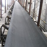 Polyester Conveyor Belts