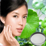 Natural Centella Asiatica Extract Powder Skin Care Product