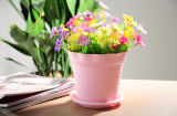 Home Garden Decorative Flowerpots Plastic Floral Plant Plastic Mini Flower Pot