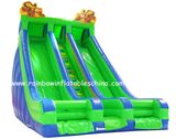 Funny Inflatable Green Slide, Double Slide