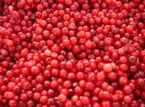 Frozen Lingonberry Cultivated A Grade