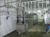 Dressing Machine for Poultry