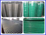 Electro Galvanized Welded Wire Mesh /Welded Iron Wire Mesh