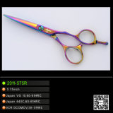 Offset Handle Titanium Hairdressing Scissors (2011-575R)