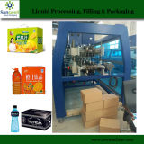 Packing Carton Box with Specification