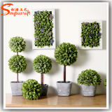 Hot Sale Indoor Artificial Mini Topiary Grass Ball