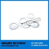 Low Tolerrance Thin Ring Magnet Permanent Magnet