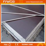 Film Faced Plywood for European Market (FYJ1588)