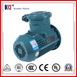 Asynchronous Electric Ex-Proof Motor for Crane
