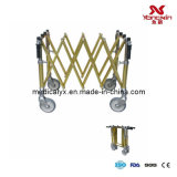 Aluminum Alloy Trolley of Funeral