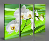 3 Pieces High Quality Flower Painting for Home Decoration