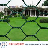 Anping Supplier Garden Hexagonal Wire Netting (ISO9001)