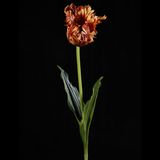 PU Tulip Flower for Decoration