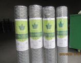 Galvanized Hexagonal Wire Netting (Chicken wire, poultry netting)