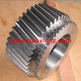 Customized Spur Gear