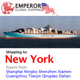 Sea Freight Shipping From China to New York, USA