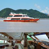 31m /199passenger Cruise Ships for Sale with Competitive Price