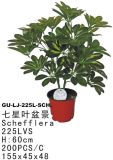 Artificial Plants and Flowers of Schefflerra Gu-Lj-225L-Sch.