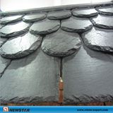 Newstar Natural Slate Roofing