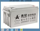 12V65ah Maintenance Free Battery AGM Battery UPS/Telecommunication Battery