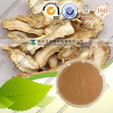 Chinese Traditional Herb Extract Dang Gui Angelica Root Dry Angelica P. E.